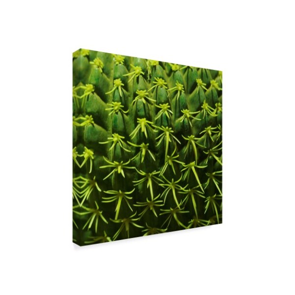 Incredi 'Green In A Square' Canvas Art,18x18